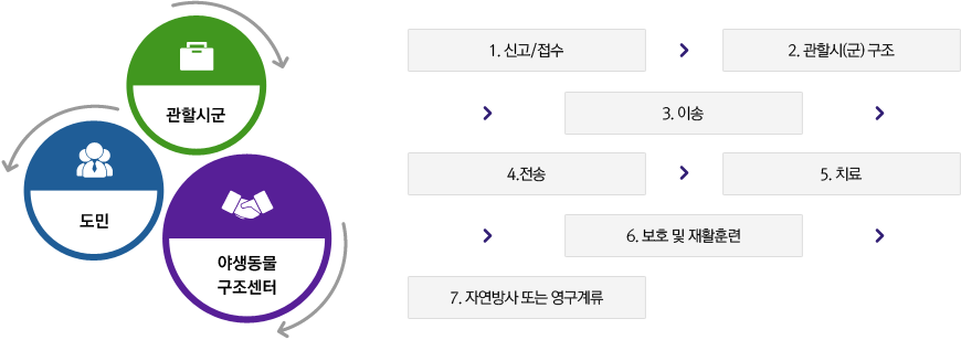 구조활동과정 : 도민, 관할시군, 야생동물구조센터를 중심으로 신고/접수 - 관할시(군)구조 - 이송- 전송 - 치료 - 보호 및 재활훈련 - 자연방사 또는 영구계류로 이루어진다.