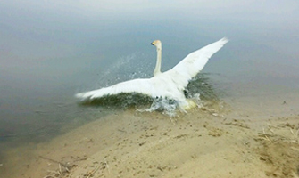항문 주위 근육 봉합 수술 후 방사
