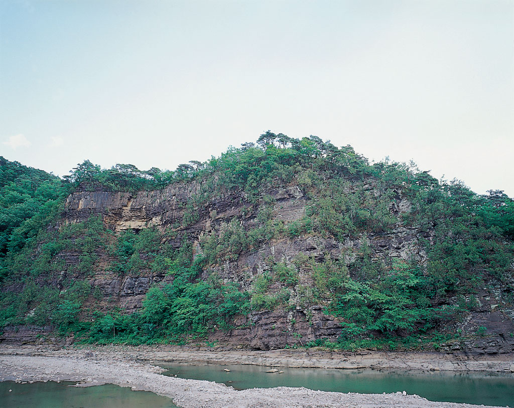 영양 감천리 측백나무 숲_1