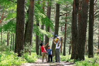 蔚珍金刚松山地农业系统 入选全球重要农业文化遗产！