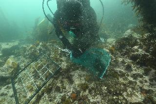 마을어장해중림조성사업