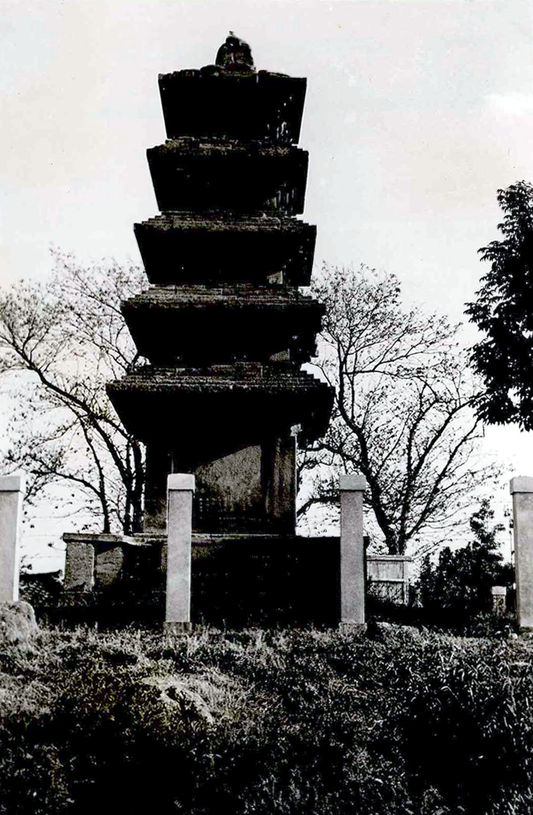 의성 탑리리 오층석탑_1