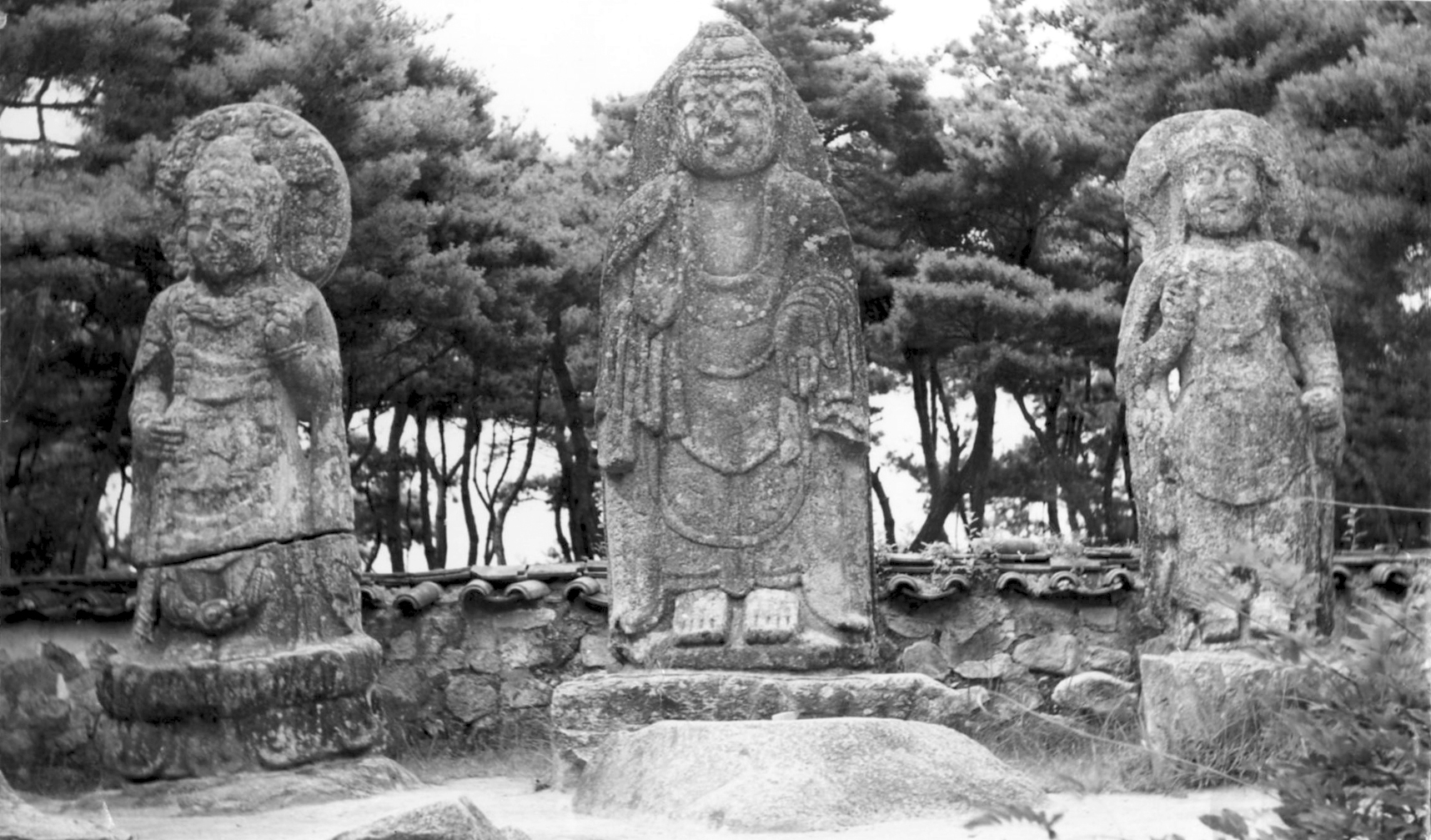 경주 배동 석조여래삼존입상_1