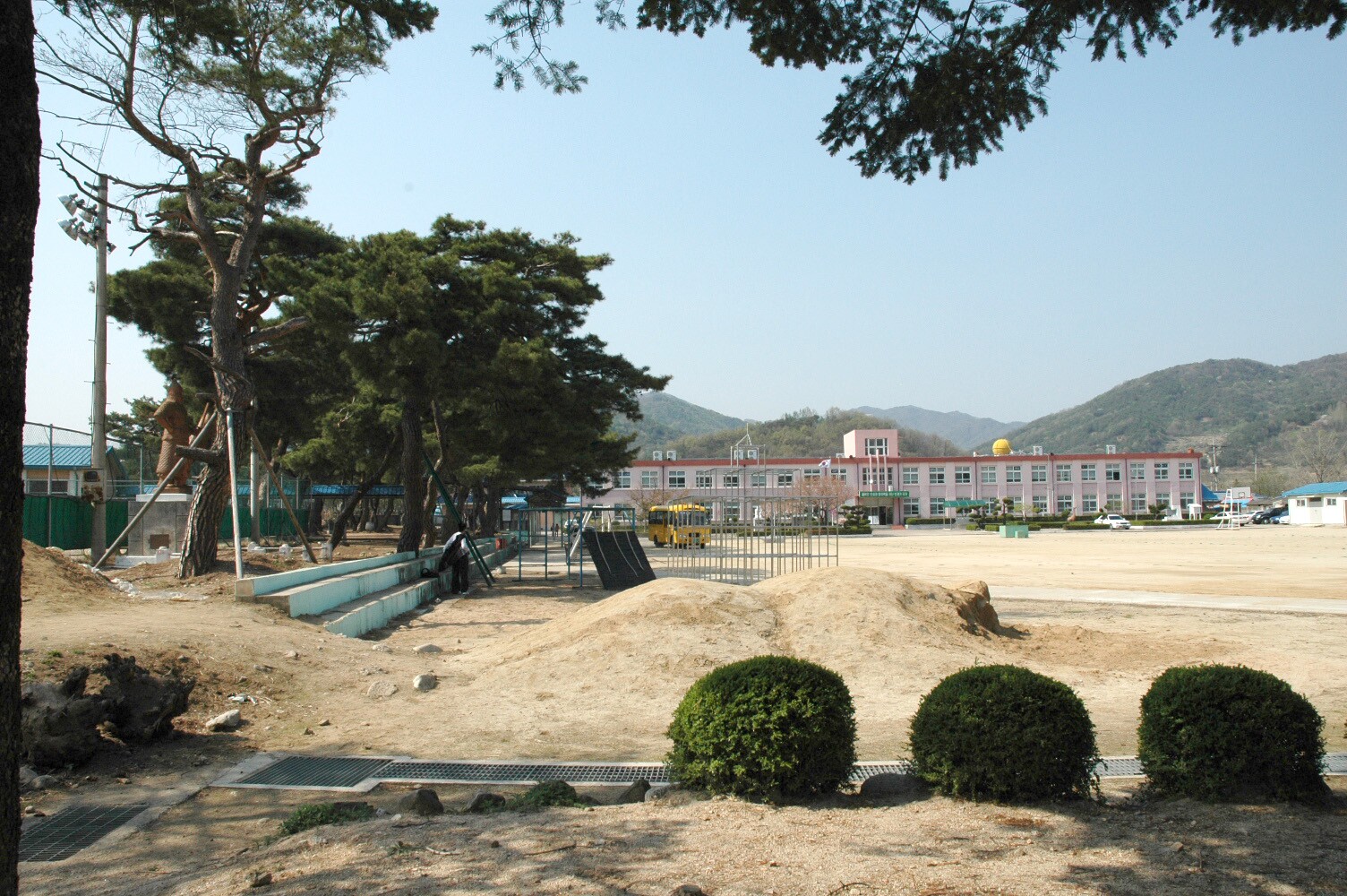 예천 금당실 송림_1