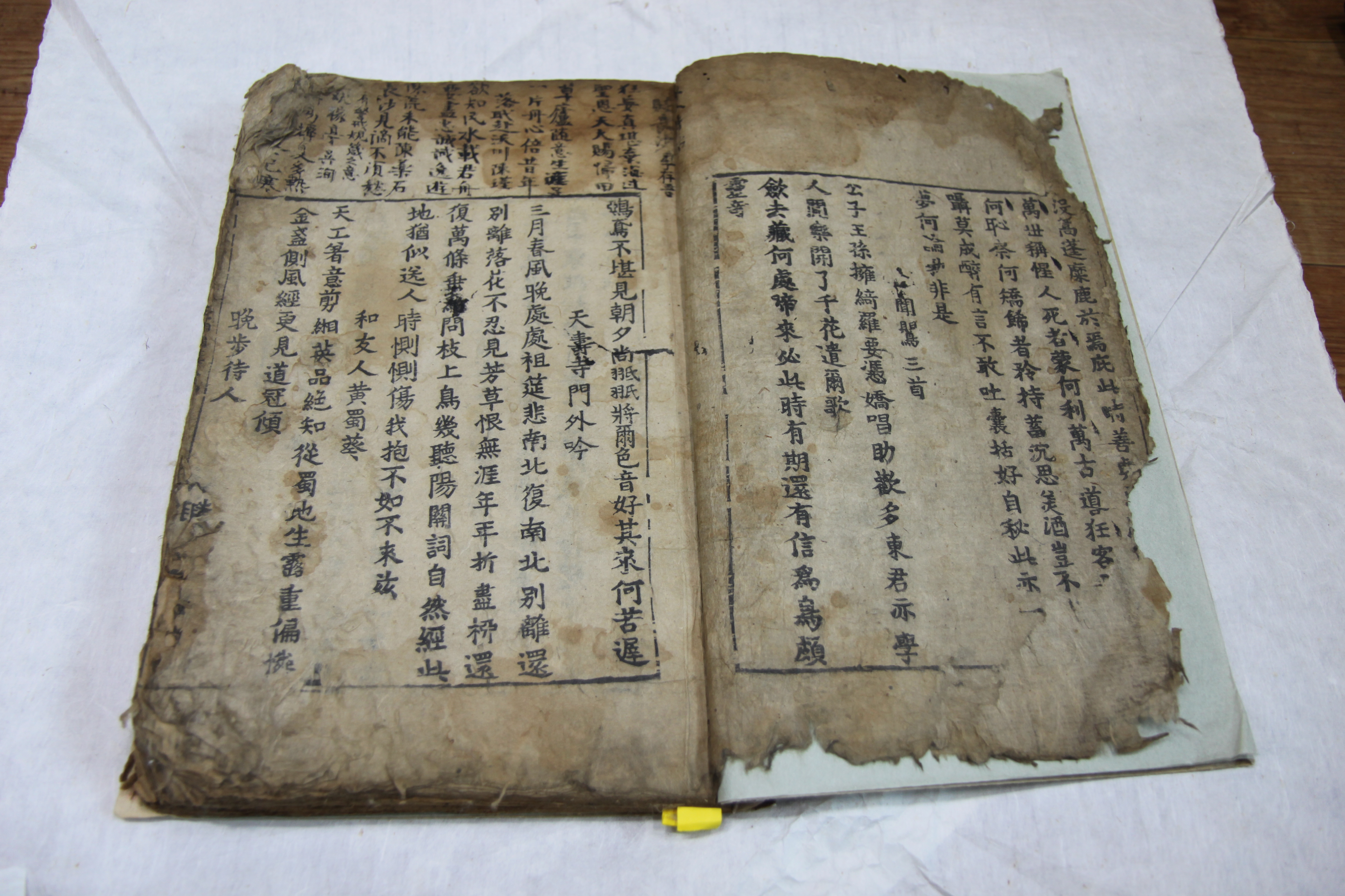 김천 조창현 소장 전적_2