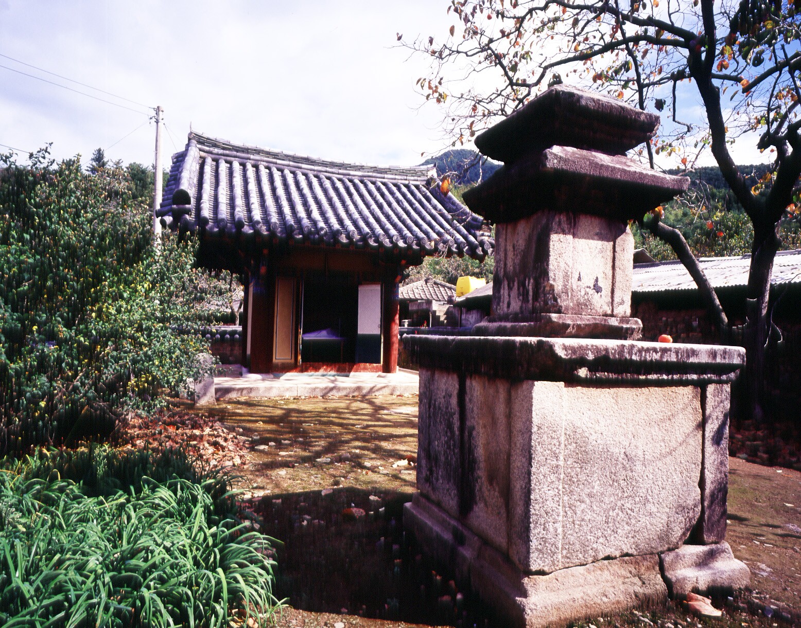 청도 박곡리 석조여래좌상_20