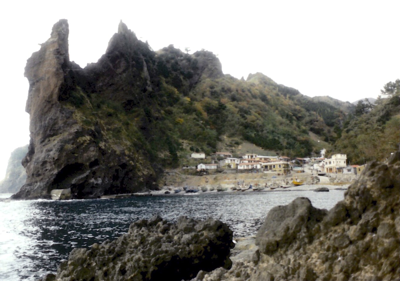 울릉 통구미 향나무 자생지_2