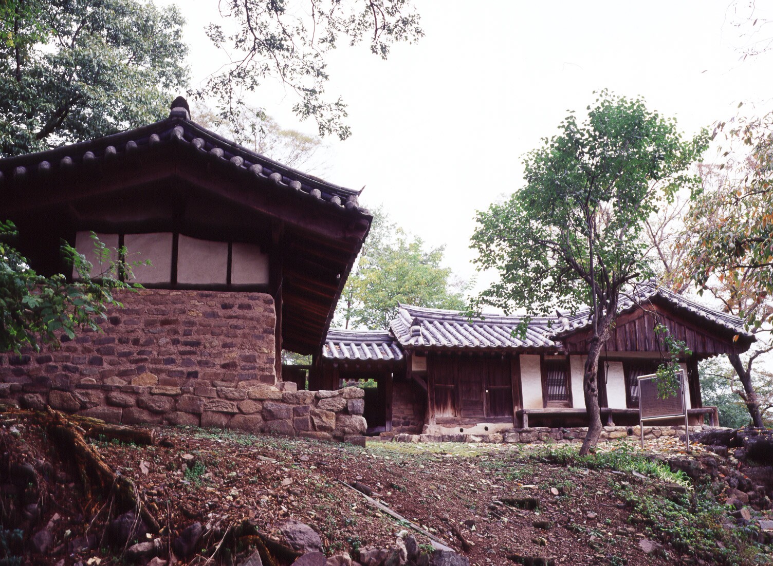 양계정사_3