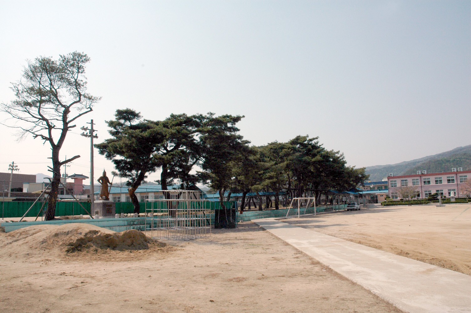 예천 금당실 송림_2