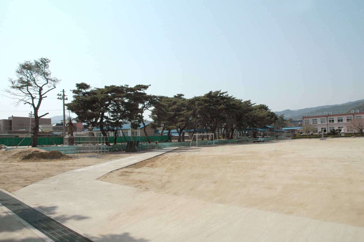 예천 금당실 송림_4